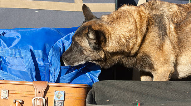 Security Considerations